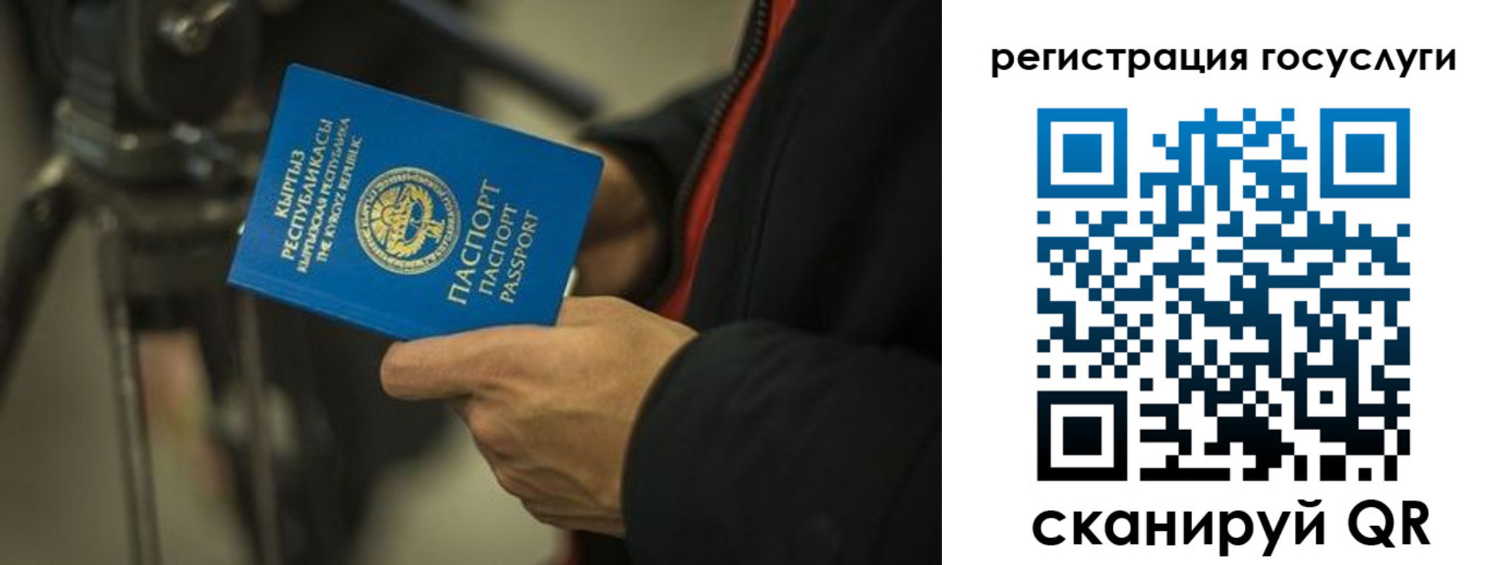 регистрация в Ленинградской области