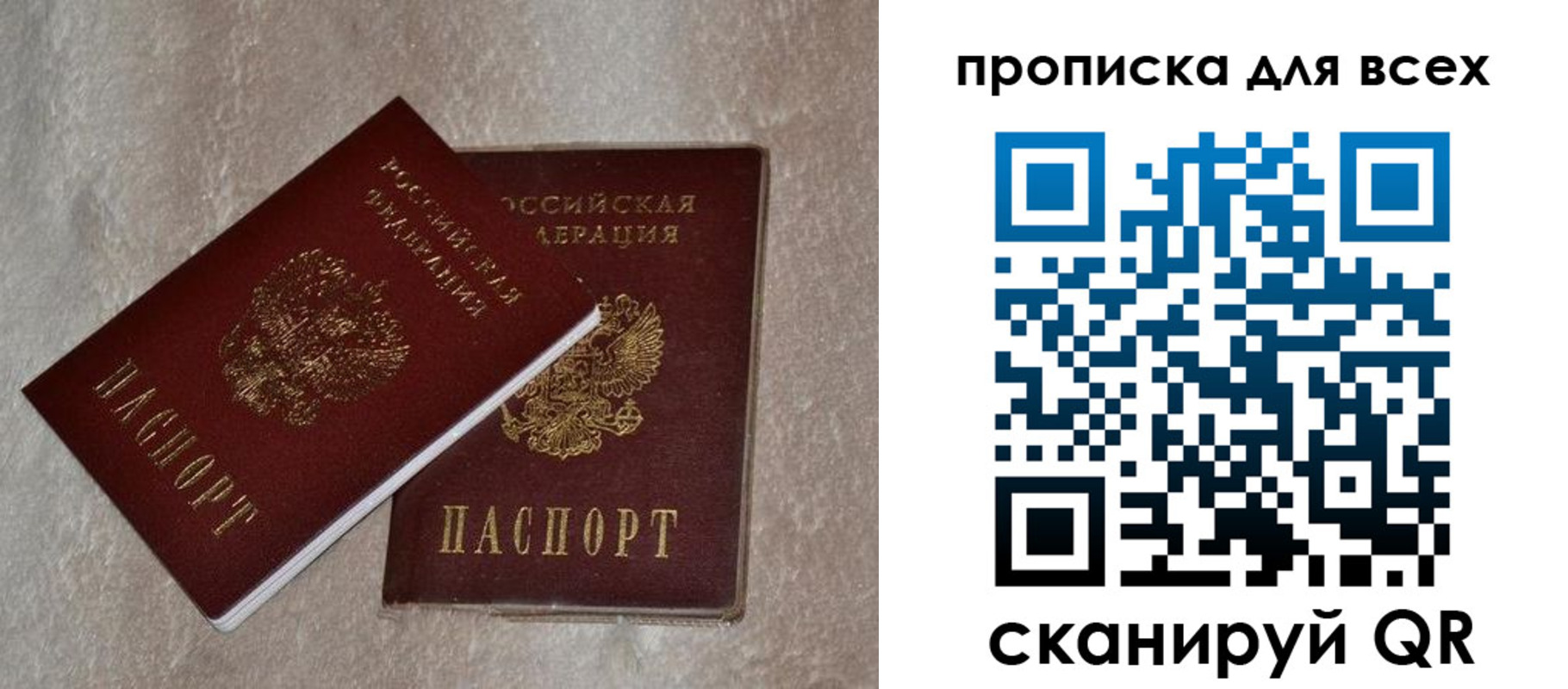 прописка в квартире в Ленинградской области